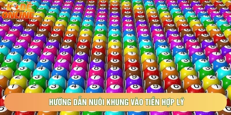 Hướng dẫn nuôi khung vào tiền hợp lý
