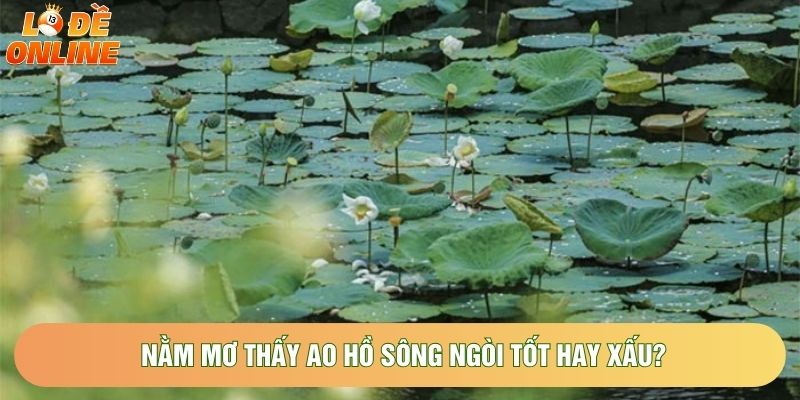 Nằm mơ thấy ao hồ sông ngòi tốt hay xấu?